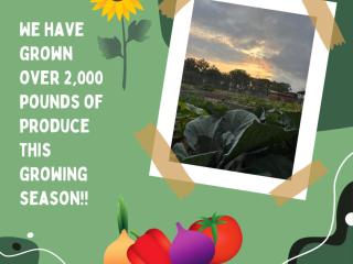 Flyer announcing 2,000 pounds of produce grown in garden.