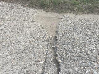 Cracks and tripping hazards of a sidewalk.