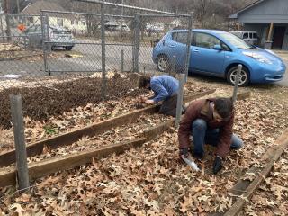Volunteers planting bulbs.