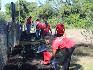 Volunteers working in community garden.