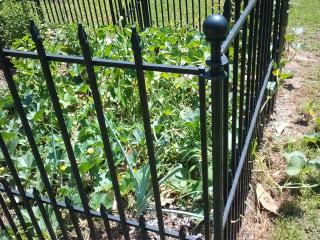 New wrought iron fence around garden.