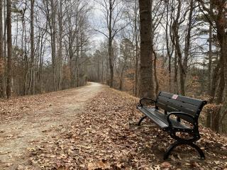 New bench along trail.
