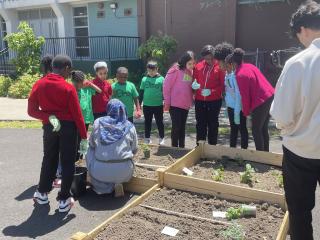 Students learning to plant.