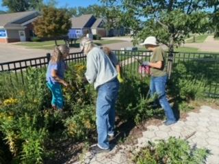 Volunteers trimming plants in sensory garden