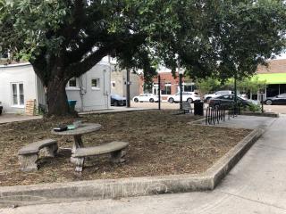New table with benches under tree.