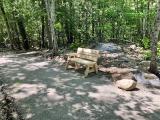 New bench along accessible trail.