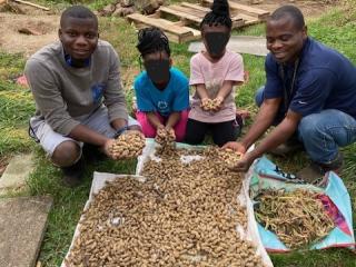 Gardeners displaying the peanuts they grew.