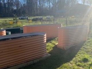 Raised garden beds ready for planting.