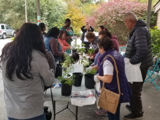 Garden plants exchange.