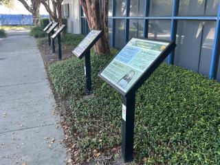 Multiple panels along sidewalk.