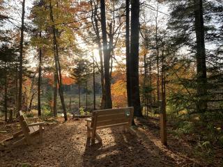 Two new benches with view.