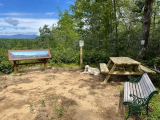 New picnic table and bench with a view.