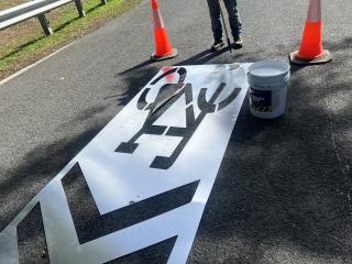 Painting shared bike lane symbols on street.