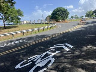 Shared bike lane symbols painted on street in both directions.