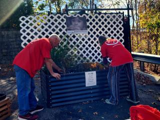 Planting in new raised garden beds.