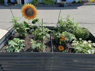 New raised garden beds.
