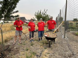 Installing drip irrigation lines to trees.