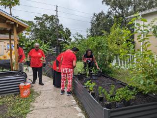 Older adults planting raised garden beds.