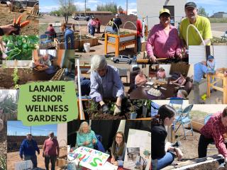 Photo collage of older adults gardening.