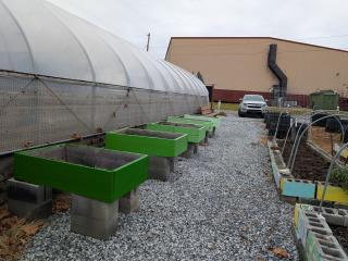 Raised garden beds.