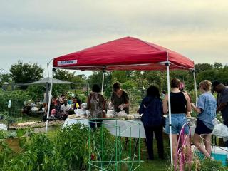 Community event a garden.