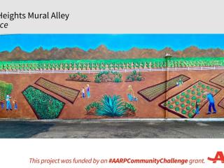 Wide angle view of one alley mural.