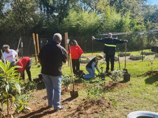 Volunteers planting trees.