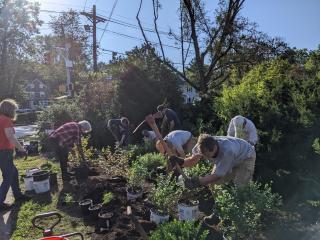 Volunteers planting native species.