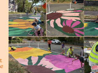 Photo collage of artistic bike lanes.