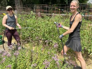 Volunteers watering plants in community garden.