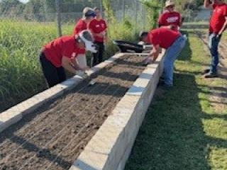 New raised garden bed.