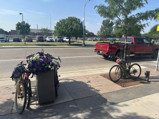 Bikes locked up to plants before bike rack installation.