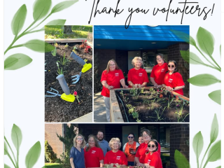 Photo collage of volunteers in community garden.