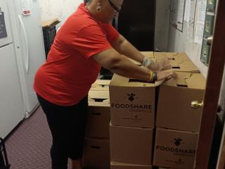 Older adult volunteer packing food distribution boxes.