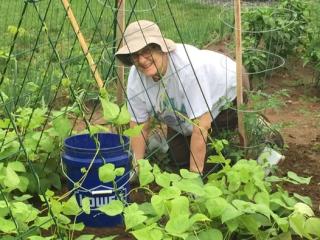 Volunteer working in community garden.