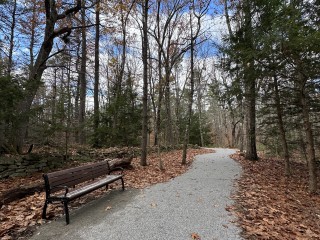 Loon Echo Land Trust 2025