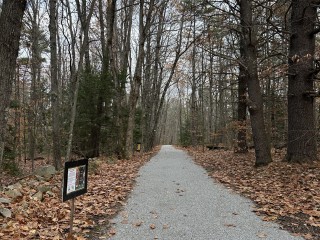 Loon Echo Land Trust 2025